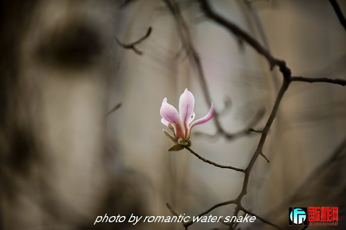 DSC_8163.jpg