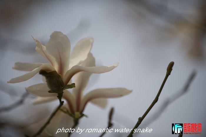 DSC_8144.jpg