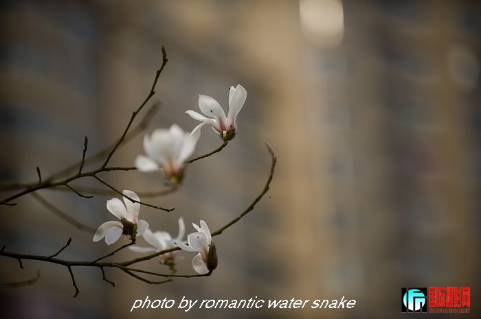 DSC_8140.jpg