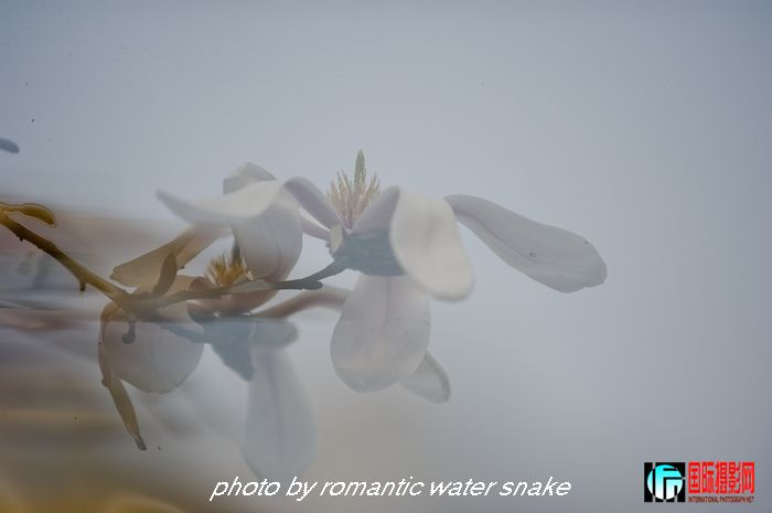 DSC_8157.jpg