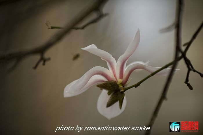 DSC_8153.jpg
