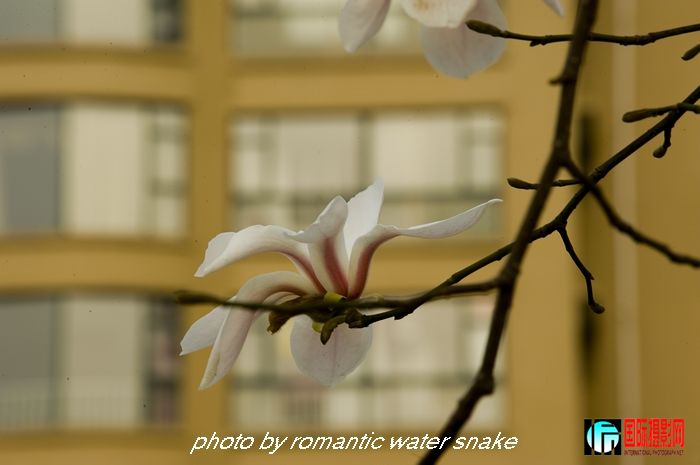 DSC_8151.jpg