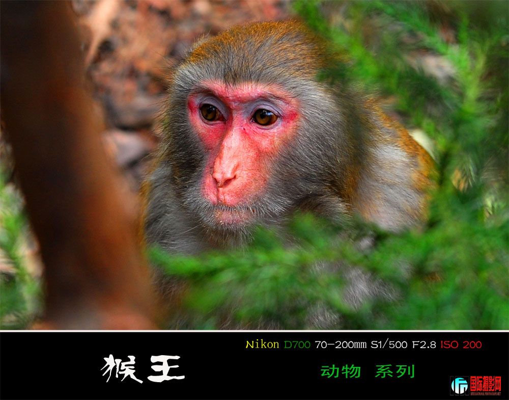 DSC_3791.JPG