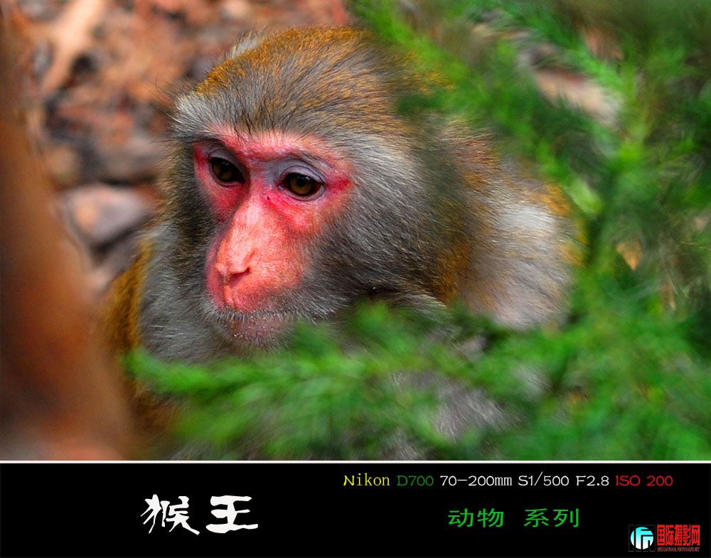 DSC_3790.JPG