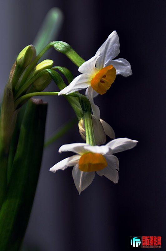 DSC_0007.jpg