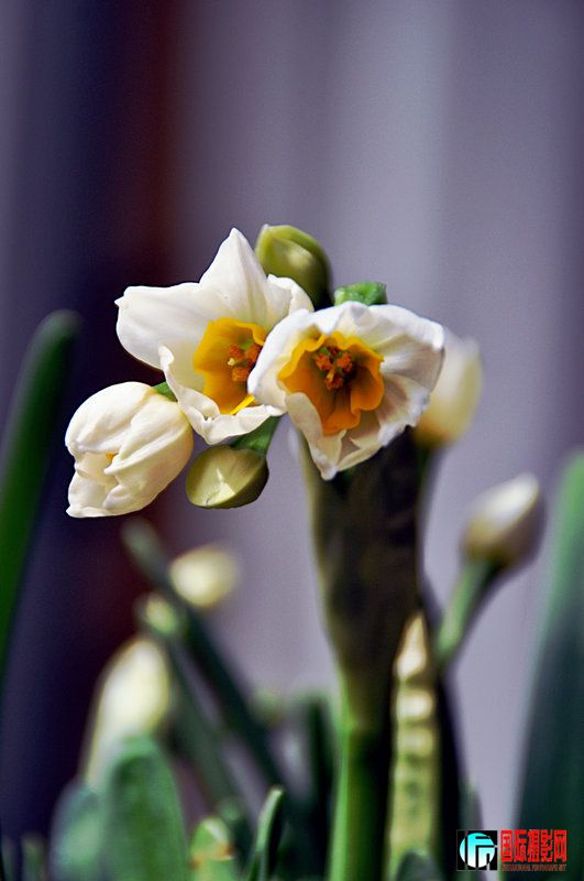 DSC_0009.jpg