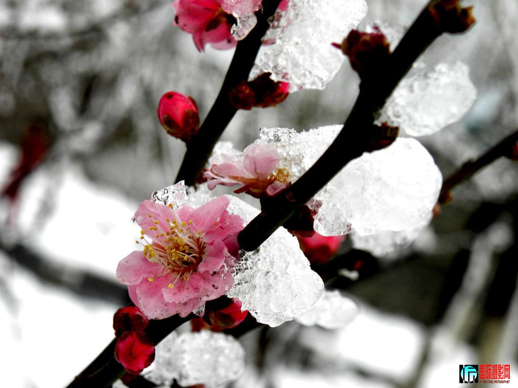 dscn9859__.jpg