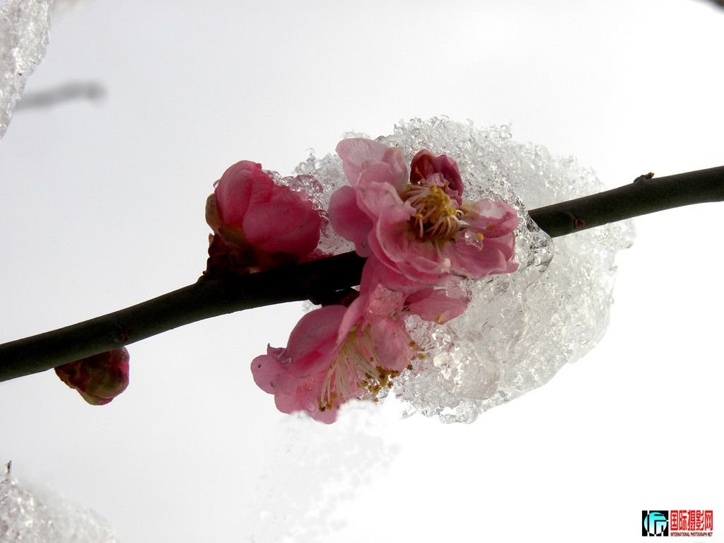 dscn9873__.jpg