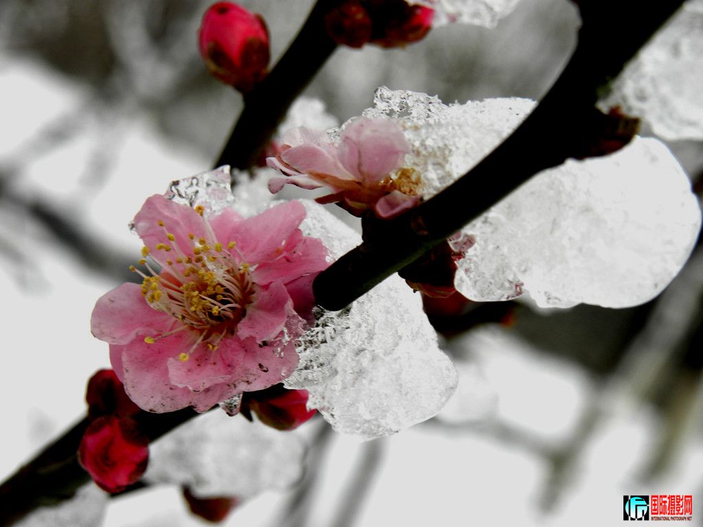 DSCN9858__.jpg