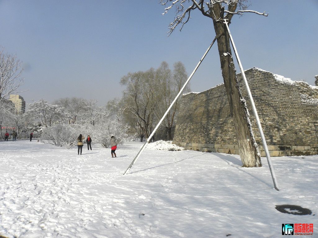 DSCN9978_.jpg