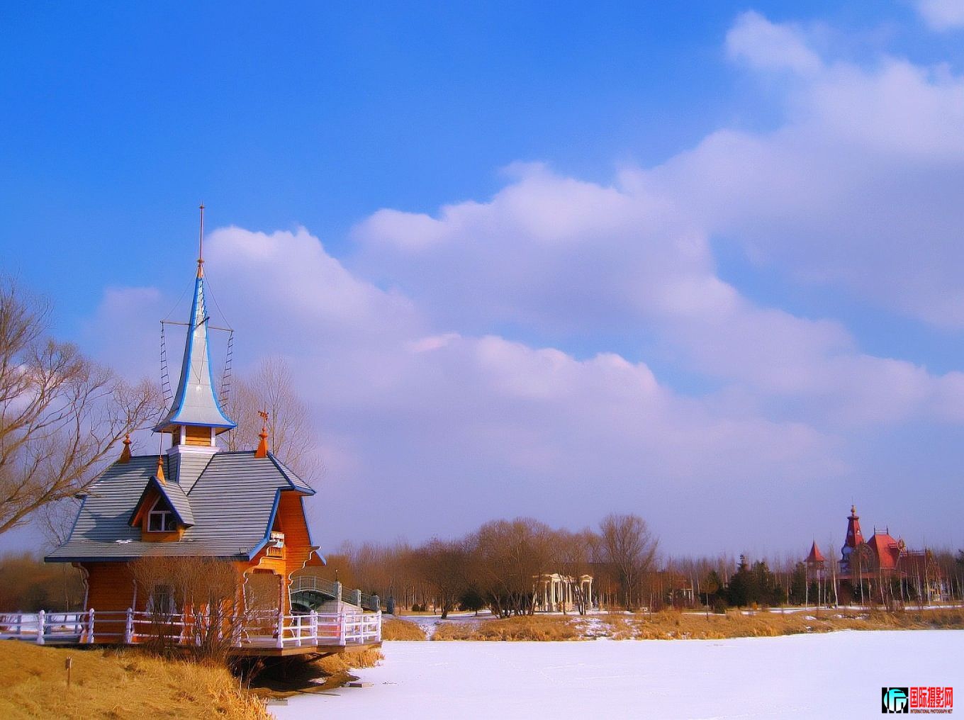 IMG_0113_conew1.jpg