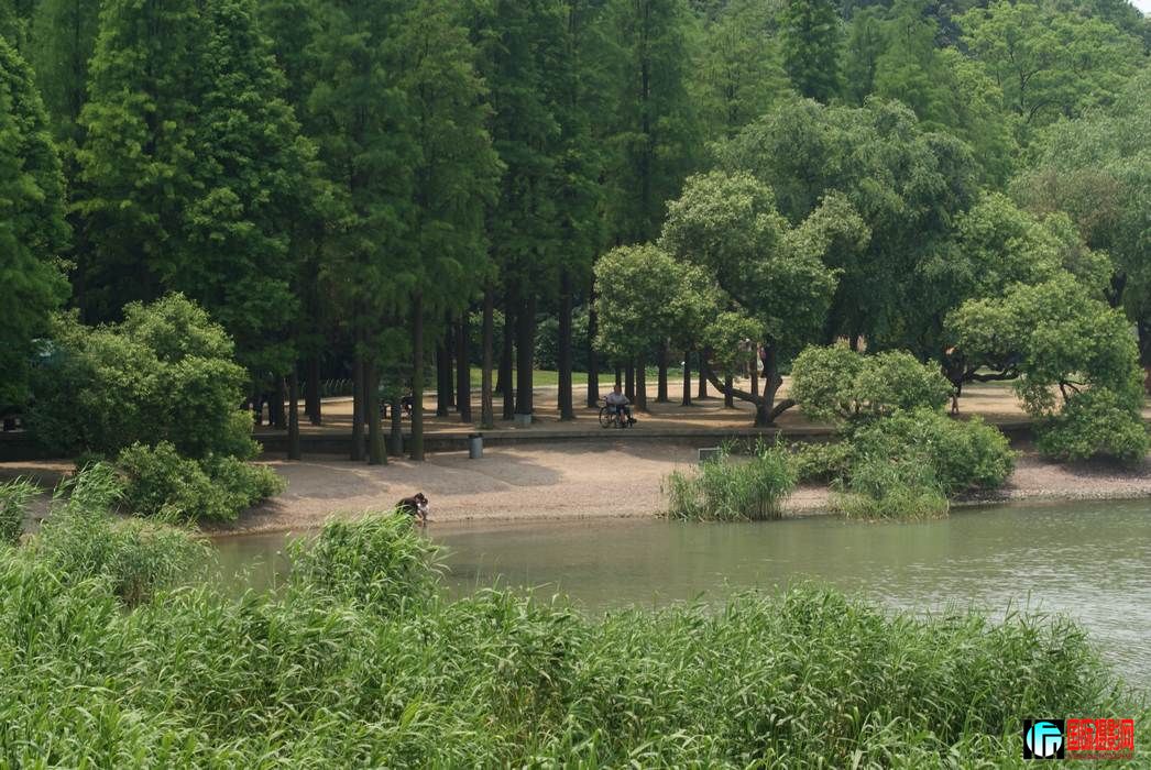 DSC-09.jpg