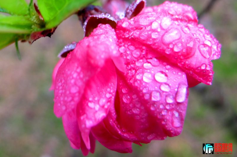 2012-1 053.jpg