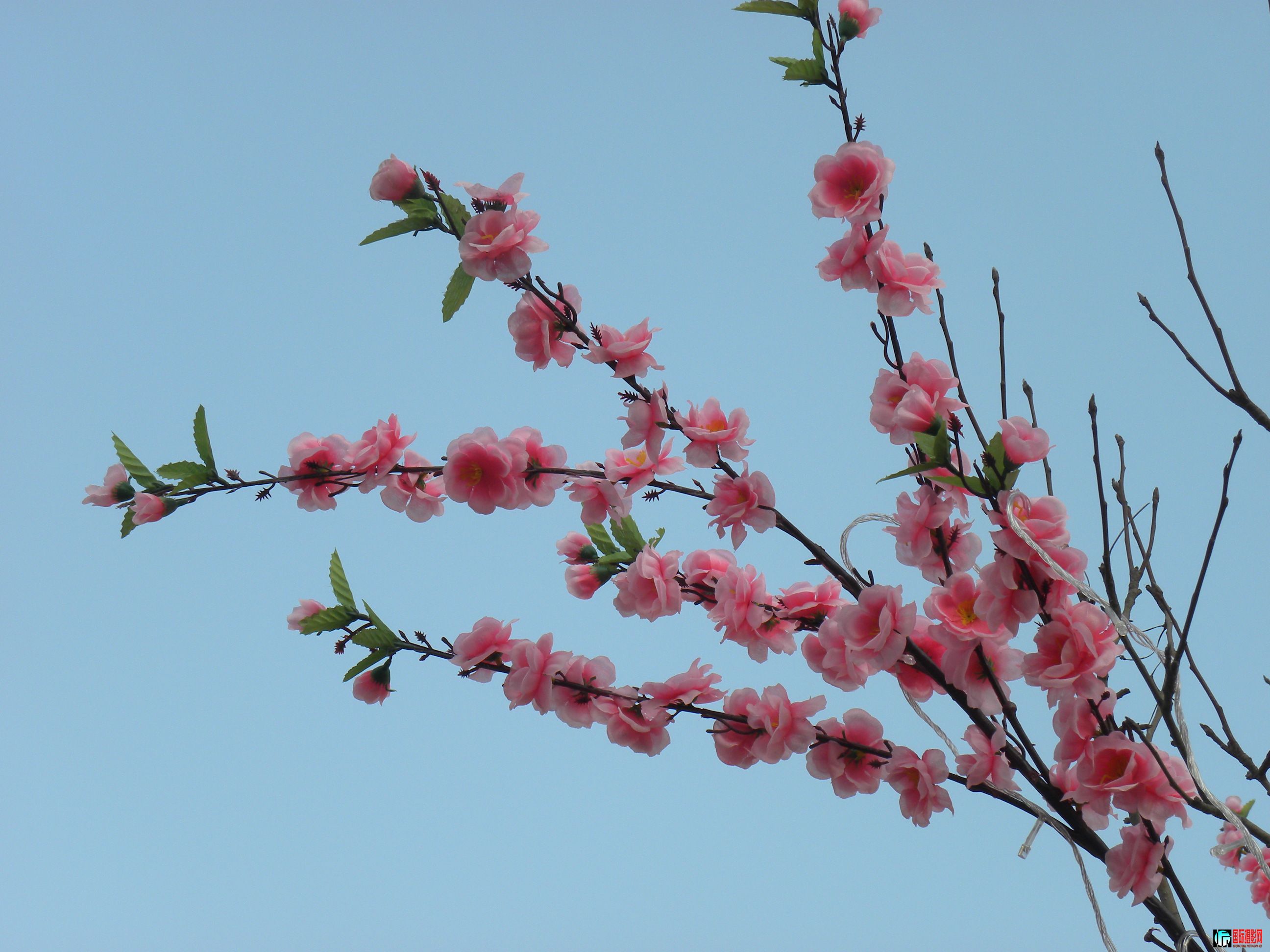 DSCN9058.JPG