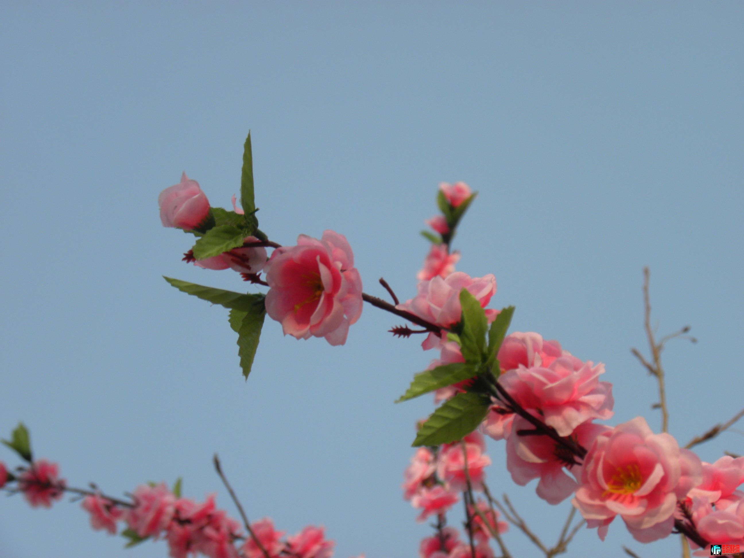 DSCN9057.JPG