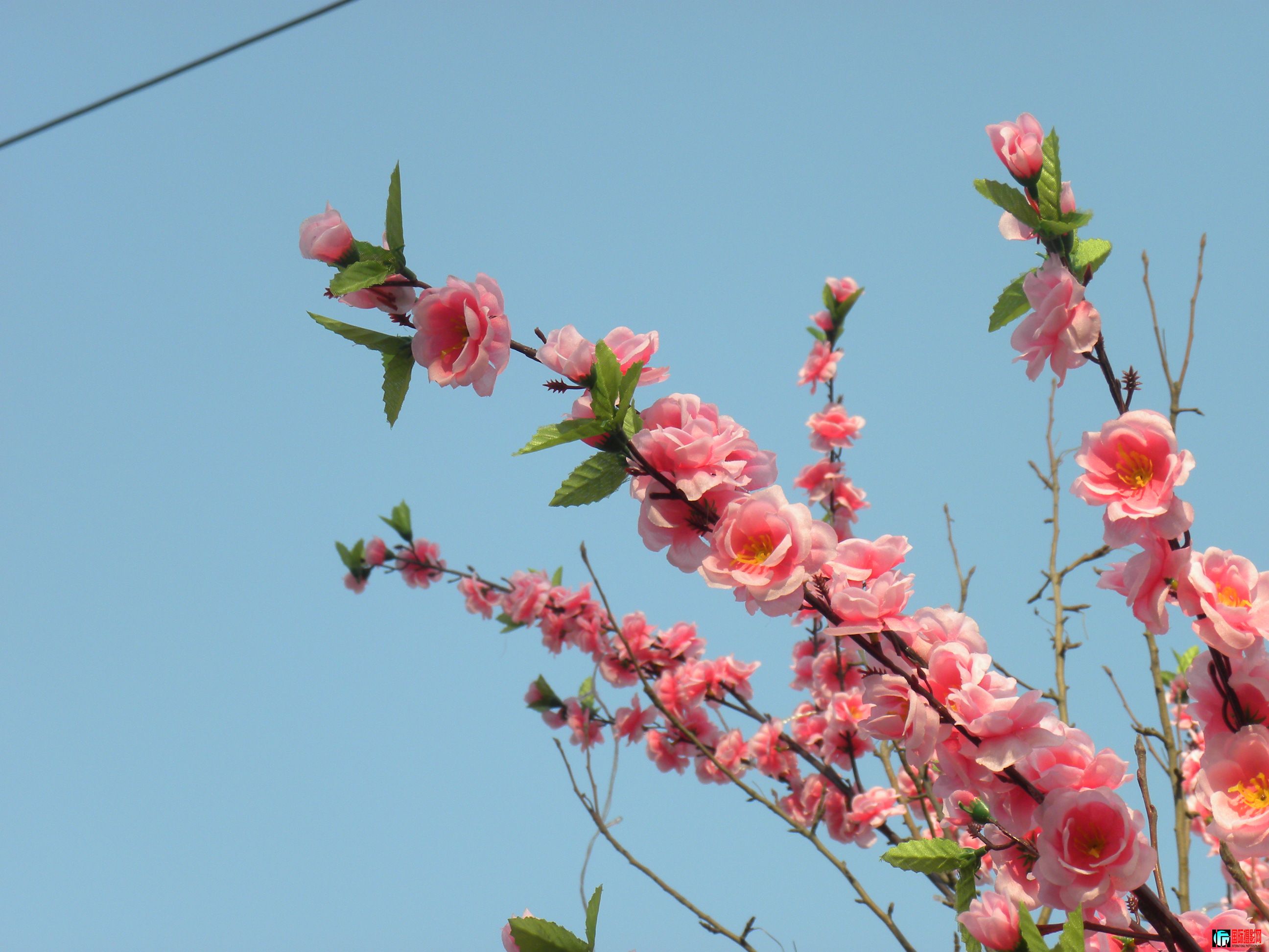 DSCN9056.JPG