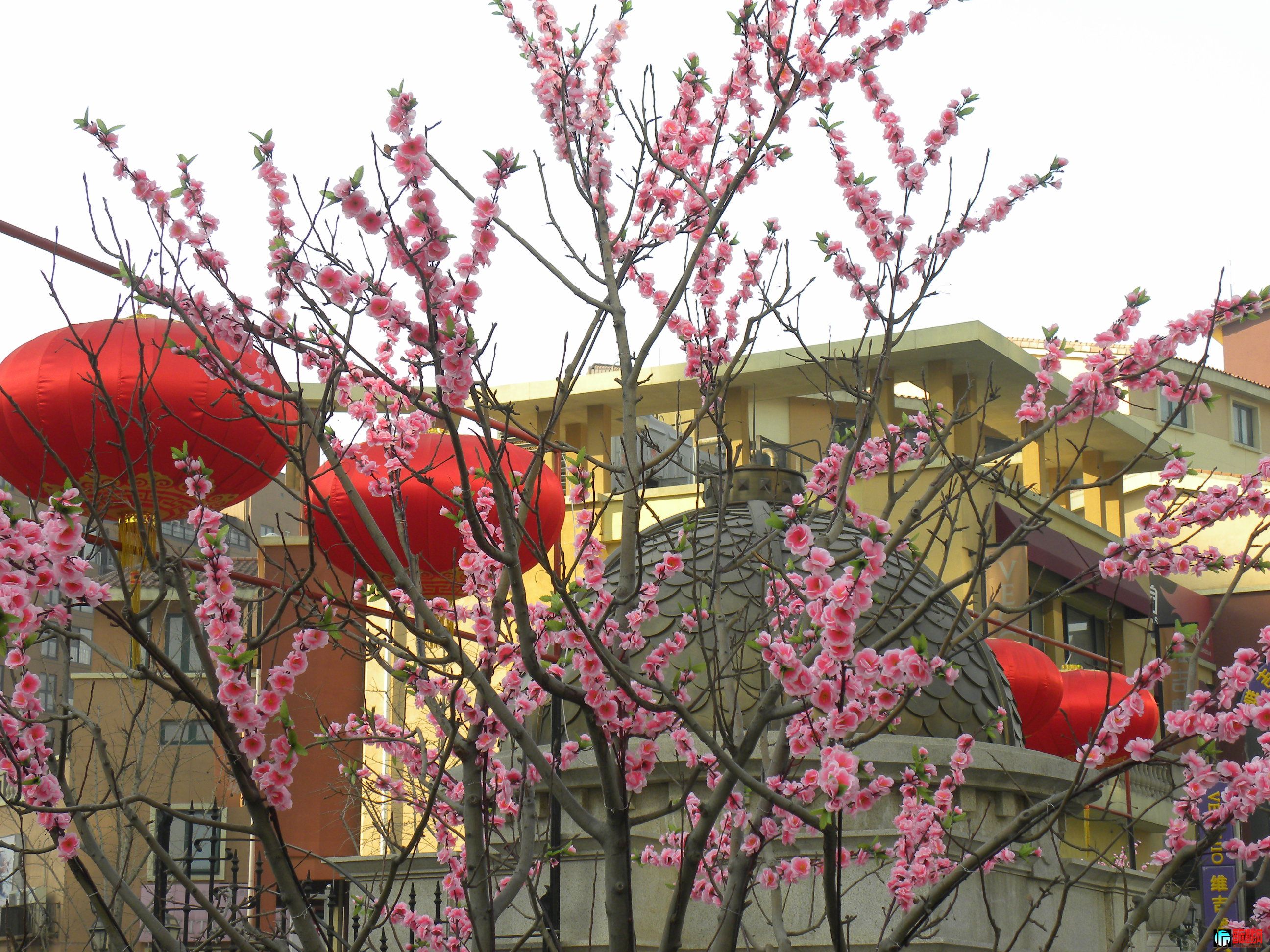 DSCN9061.JPG