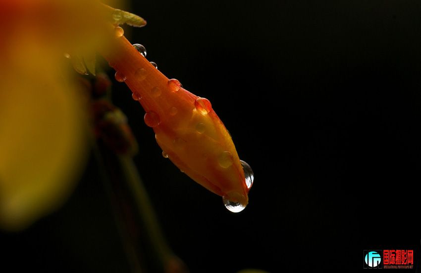 DSC_1319.jpg