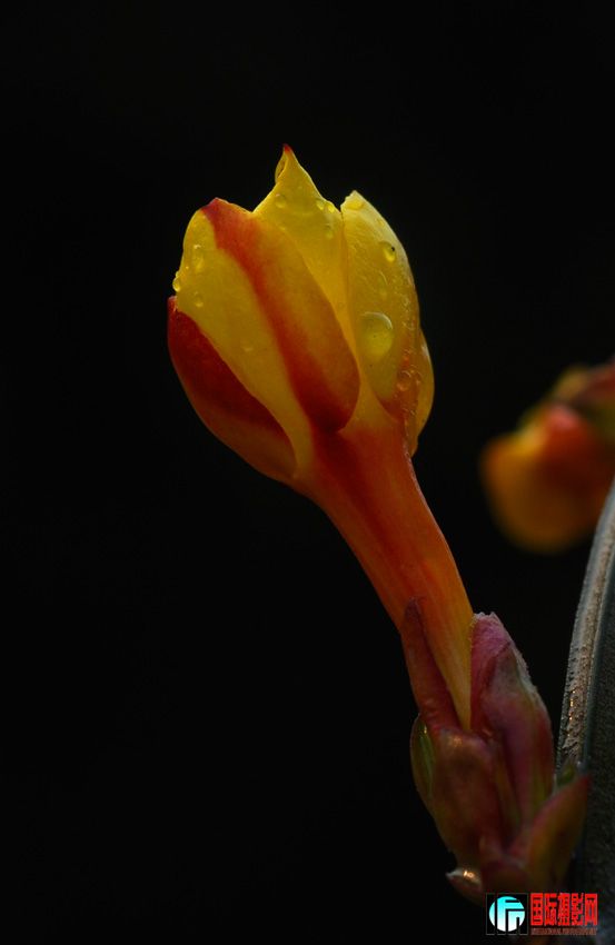 DSC_1326.jpg