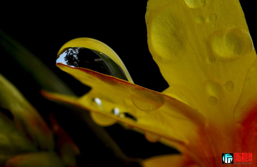 DSC_1315.jpg