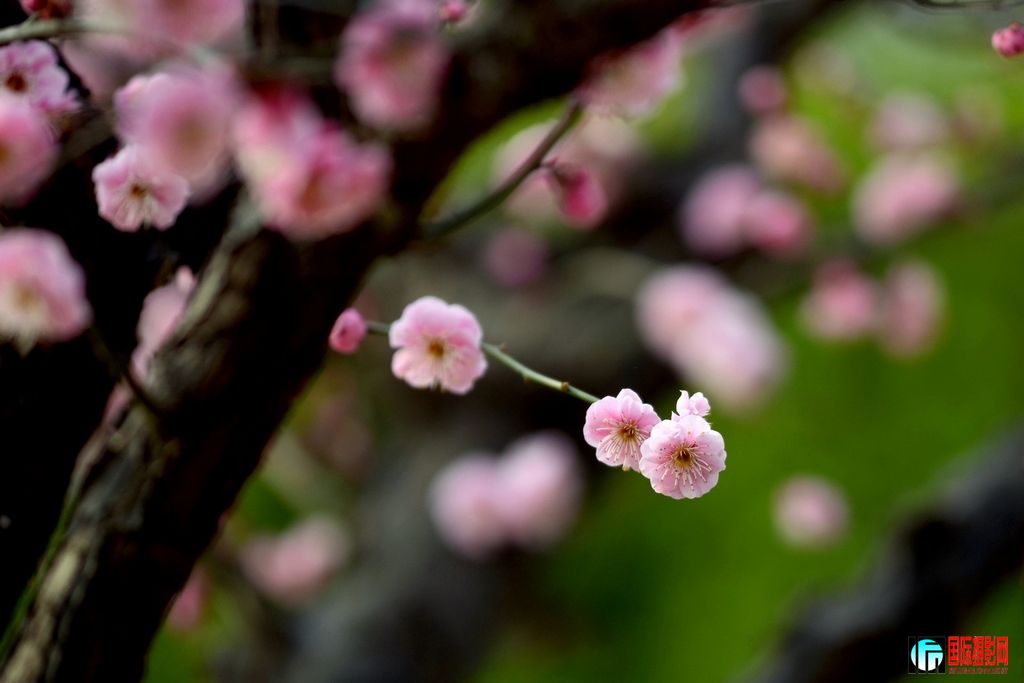 DSC_2940131024.jpg