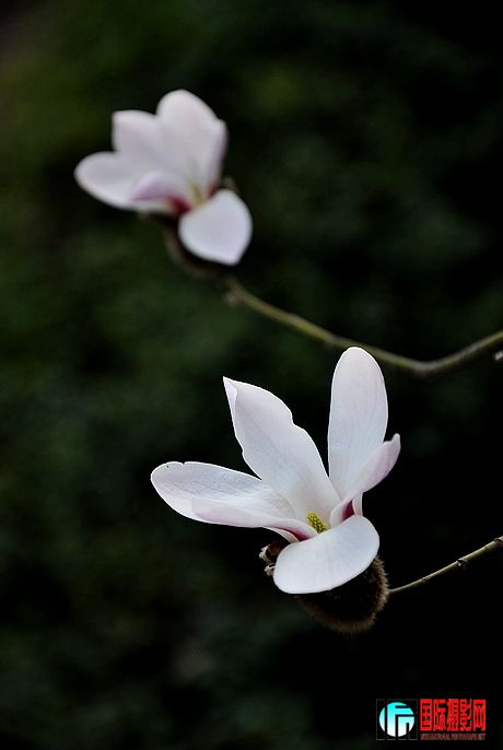 DSC_0017.JPG