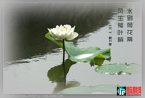 ɻ2.jpg