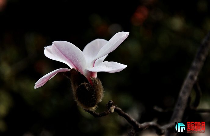 DSC_0015.JPG