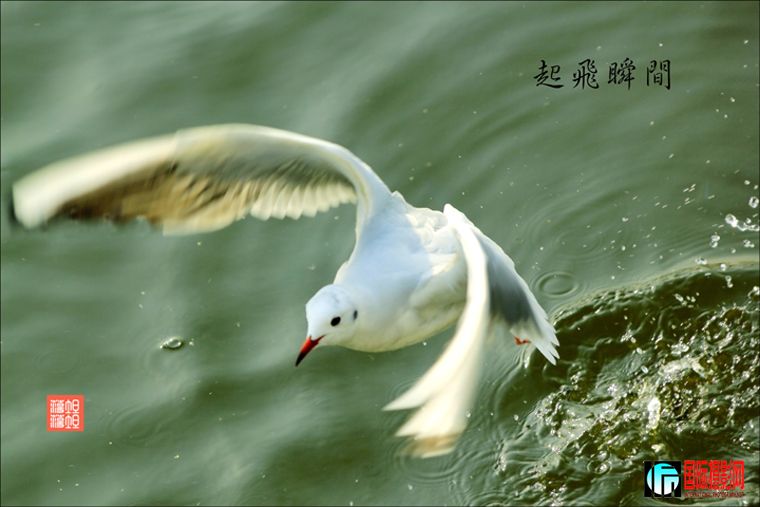 IMG_4757B.jpg