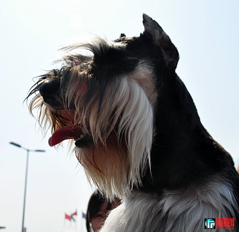 DSC_0276.jpg