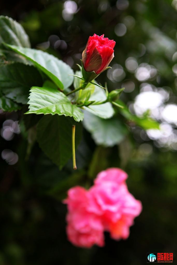 IMG_6059.jpg
