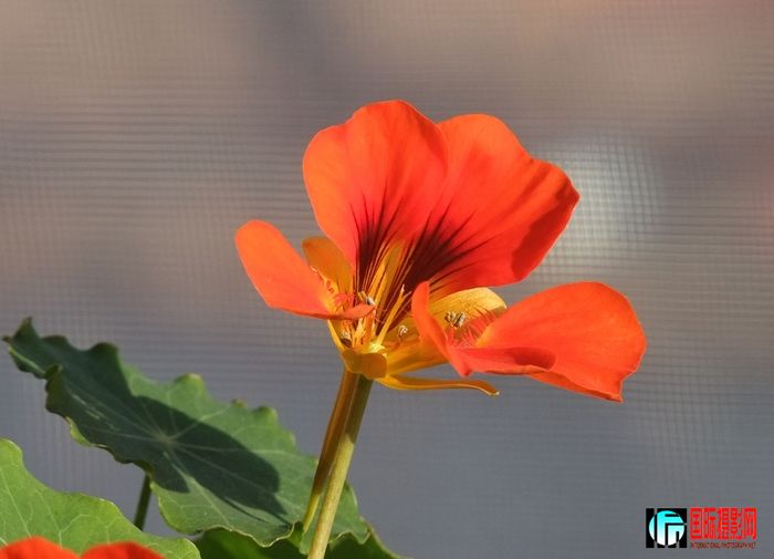 DSCF3083.JPG