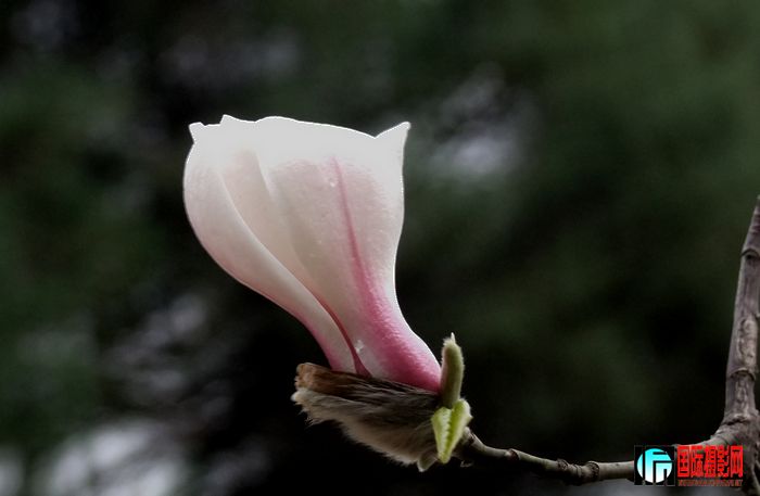 DSCF3037.JPG