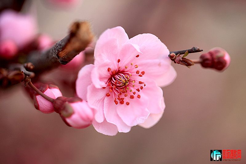 IMG_9955_.jpg