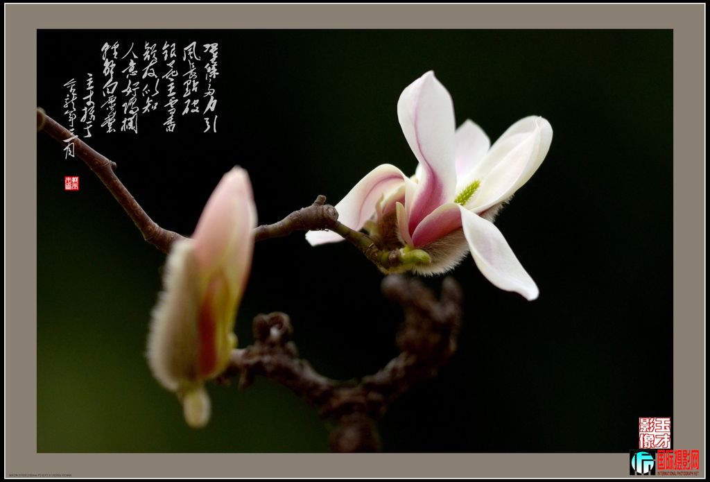 DSC_34961024.jpg