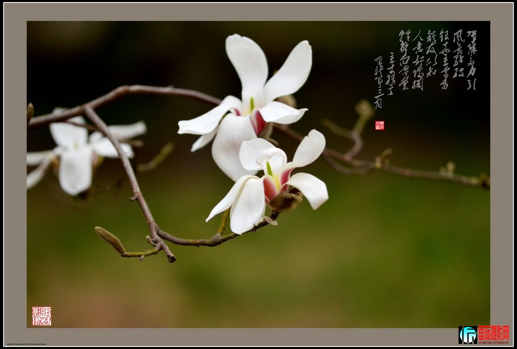 DSC_34751024.jpg