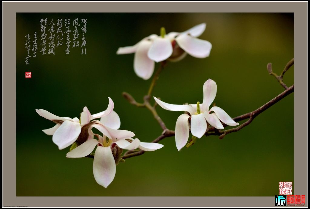 DSC_34771024.jpg