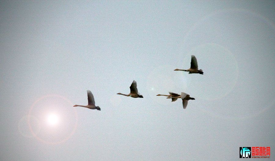 IMG_1407.jpg