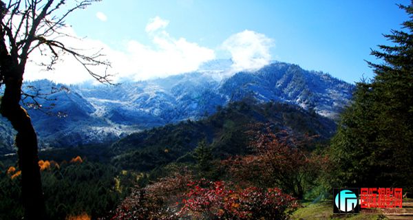 IMG_1697.jpg