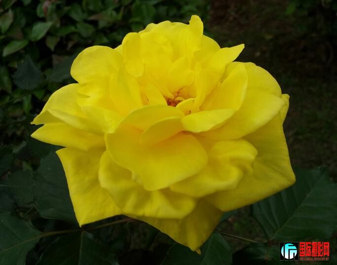 20120401_162707-1.jpg