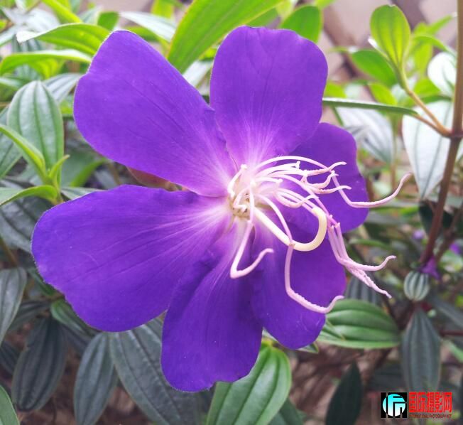 20120401_162151-1.jpg