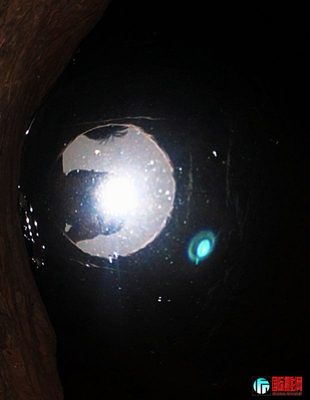 CSC_0923.jpg