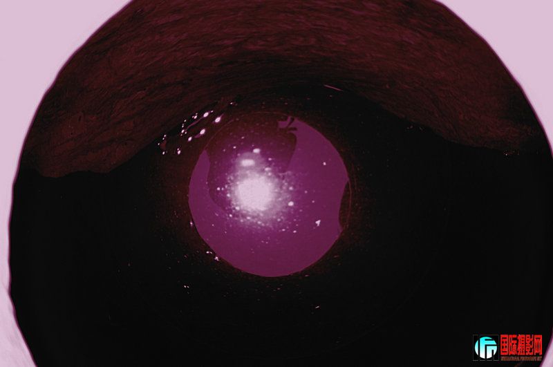 CSC_0926.jpg