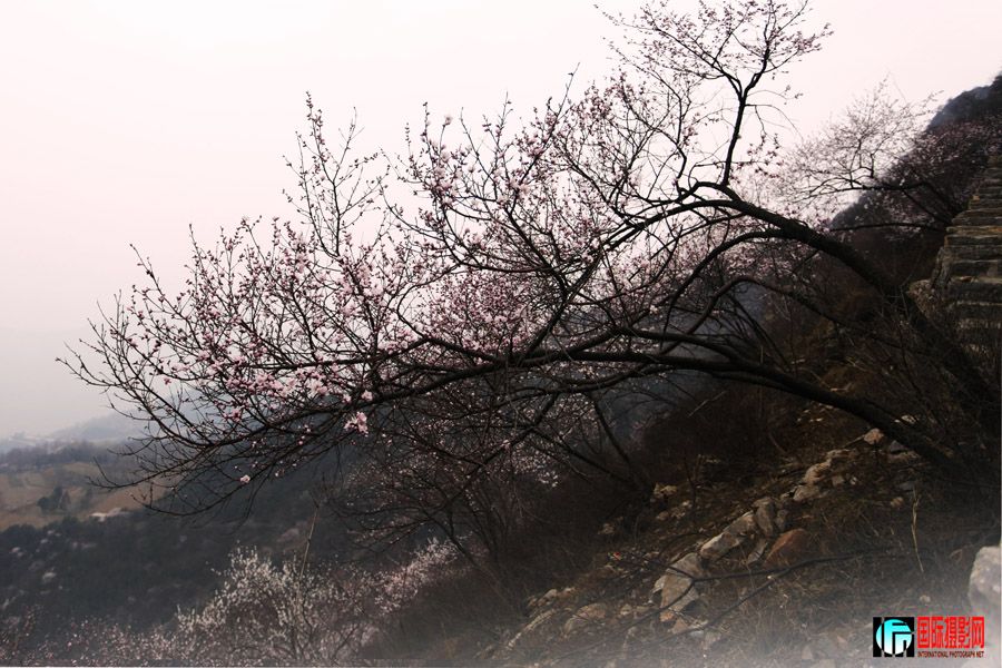 _MG_5762.JPG