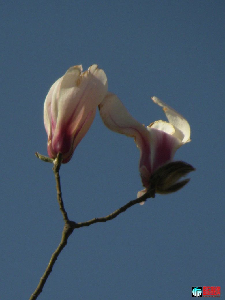 DSCN9387_.jpg