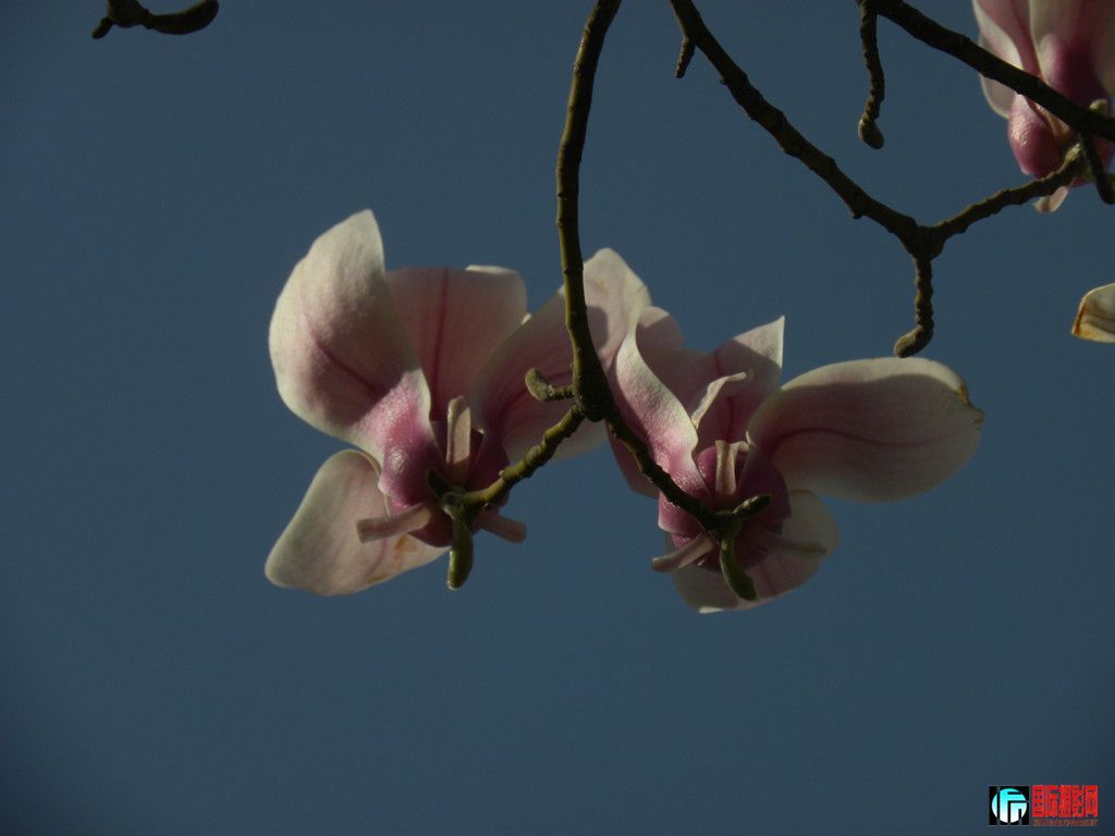 DSCN9390_.jpg