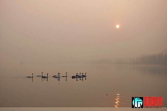 nEO_IMG_Ƭ 433.jpg