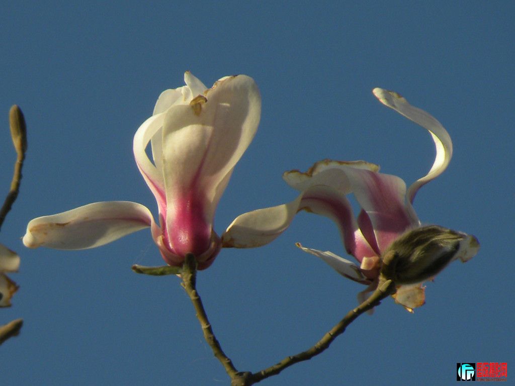 DSCN9497_.jpg