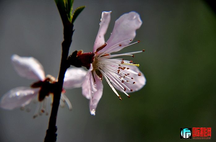 DSC_0008.JPG