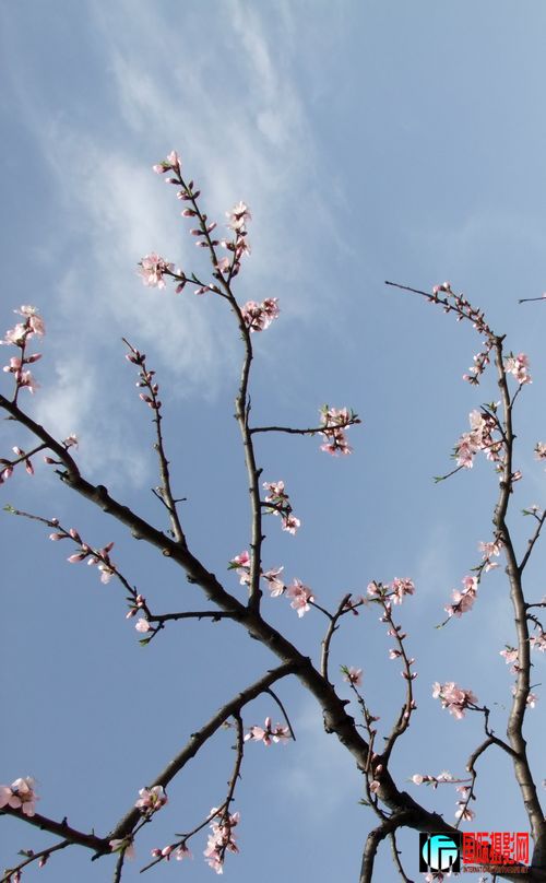 DSCF3287.jpg